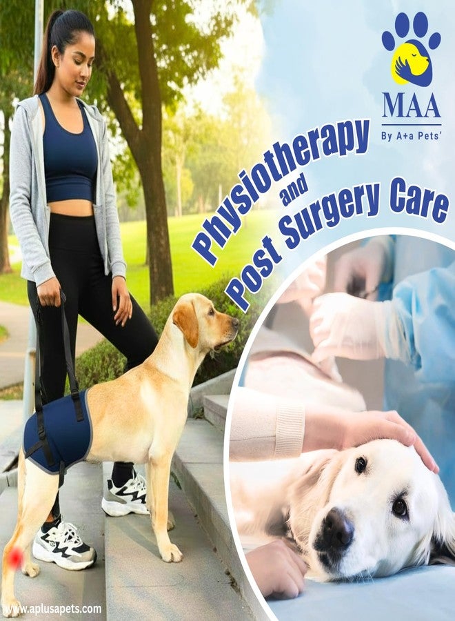 A+a Pets حزام دعم رفع الأرجل الخلفية للكلاب من A+a Pets' MAA' | للكلاب المعاقة والمسنة والمصابة والمشلولة والمصابة بالتهاب المفاصل (أزرق داكن/متعدد الألوان، 3XL) - Image 4